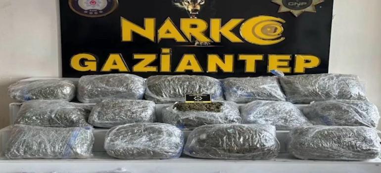 Gaziantepte otomobilde 78 kilo skunk ele geçirildi