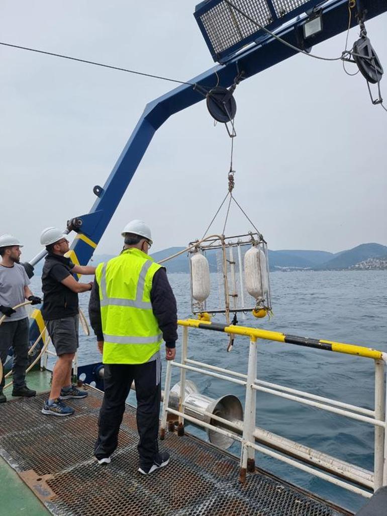 Kuşadası Körfezinde deprem araştırması tamamlandı; yıkıcı fay yok