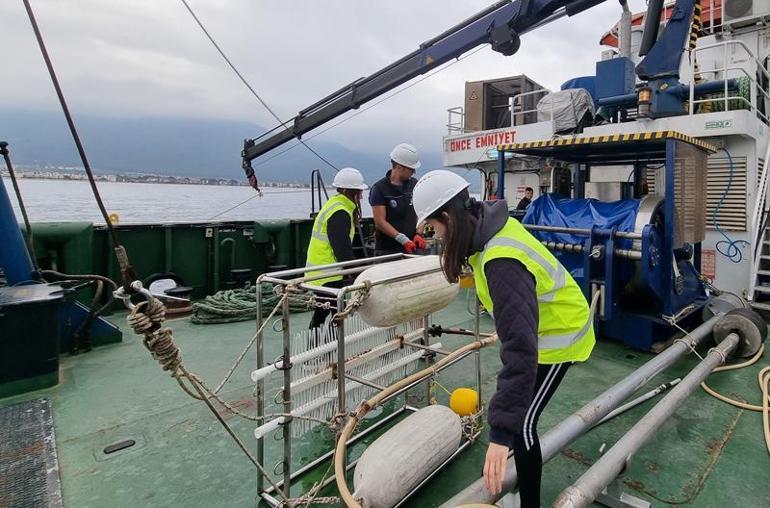 Kuşadası Körfezinde deprem araştırması tamamlandı; yıkıcı fay yok