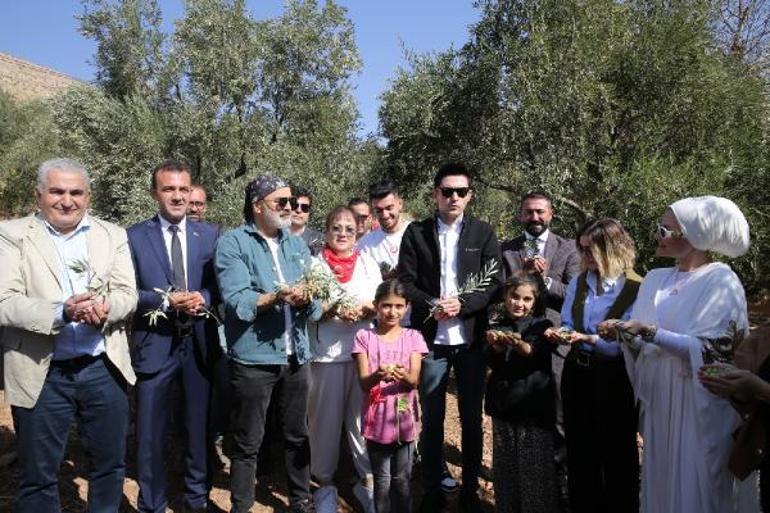 Mardin’de zeytin hasadı Dünyanın en uzun adamı Sultan Kösenin de katılımıyla başladı