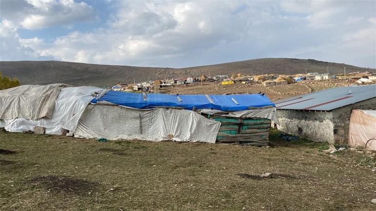 Geçimlerini sağladıkları inekleri çalındı