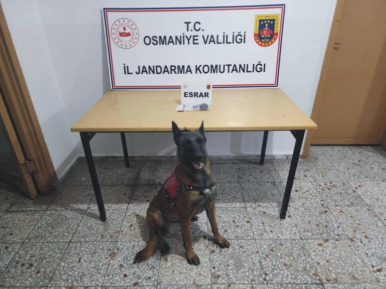 Ekmeğin arasından uyuşturucu çıktı