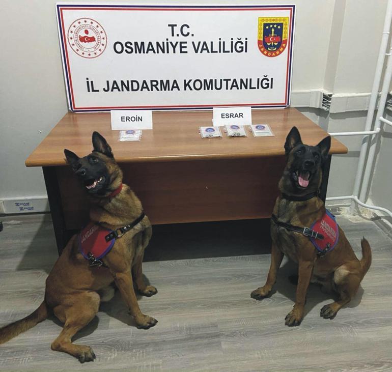 Ekmeğin arasından uyuşturucu çıktı