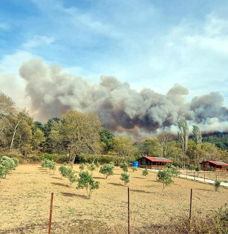 Çanakkalede orman yangını kontrol altına alındı
