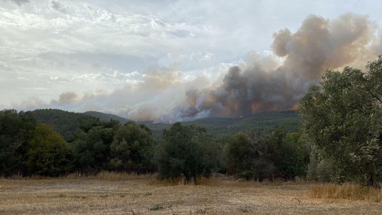 Çanakkalede orman yangını kontrol altına alındı