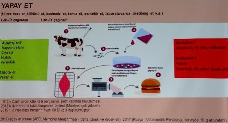 Gelecekte beslenmede yapay ve yalancı et, böcek, mantar, yosun ve bitki bazlı sütler kullanılacak