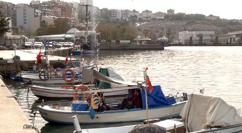 Prof. Dr. Sarı: Marmara Denizinin yüzey suyu sıcaklığı hala 20 derece; besin zinciri etkilenebilir