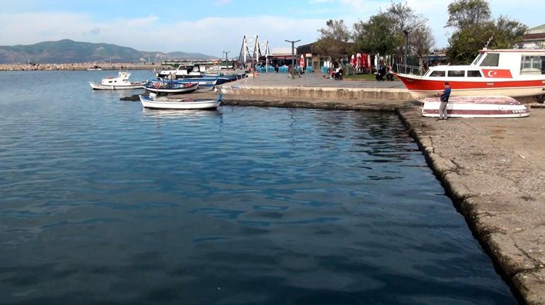 Prof. Dr. Sarı: Marmara Denizinin yüzey suyu sıcaklığı hala 20 derece; besin zinciri etkilenebilir