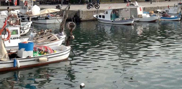 Prof. Dr. Sarı: Marmara Denizinin yüzey suyu sıcaklığı hala 20 derece; besin zinciri etkilenebilir