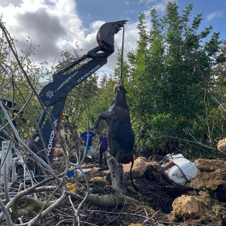 Aydında 3 kişinin öldüğü selde kayıp çiftçiyi arama çalışmalarında 3üncü gün