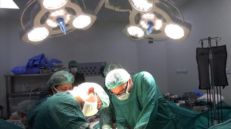 Prof. Dr. Kaya: Kadaverik organ bağışı, pandemi ile çok dramatik bir şekilde düştü