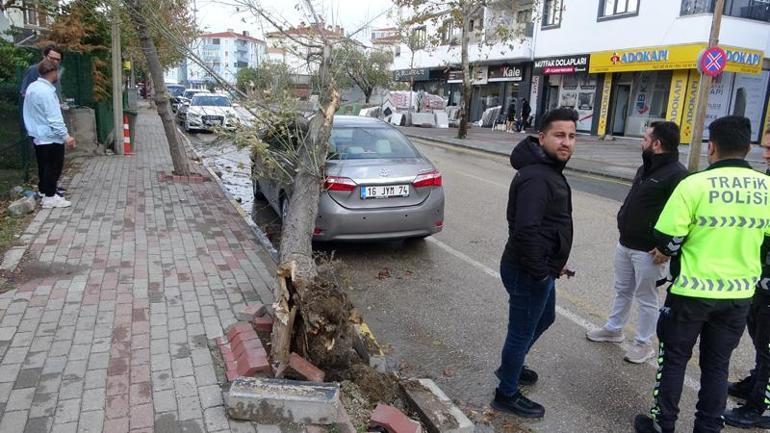 Edirne’de lodosun devirdiği ağaç otomobile hasar verdi