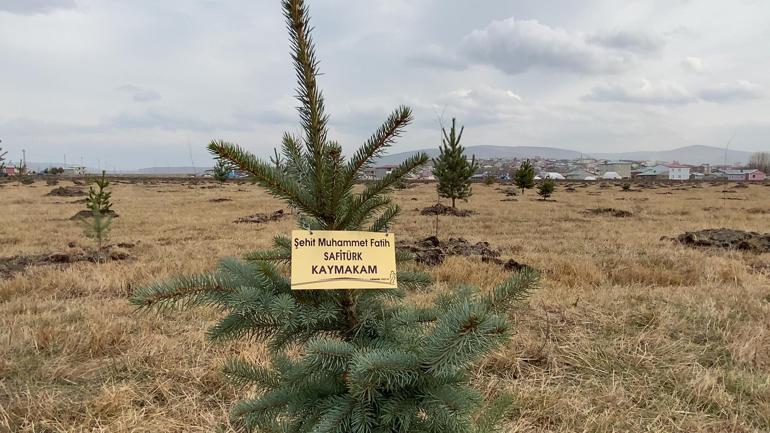 Şehit Kaymakam Muhammet Fatih Safitürk anısına fidan dikildi