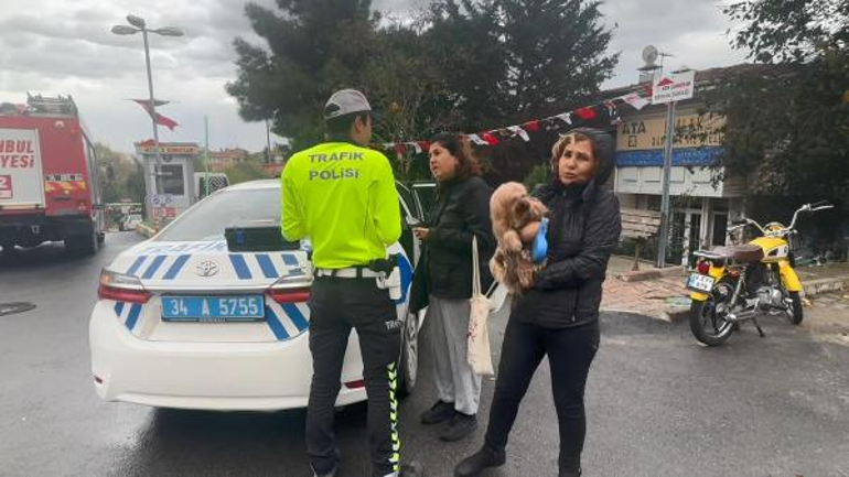 Üsküdarda otomobil binanın bahçesine düştü