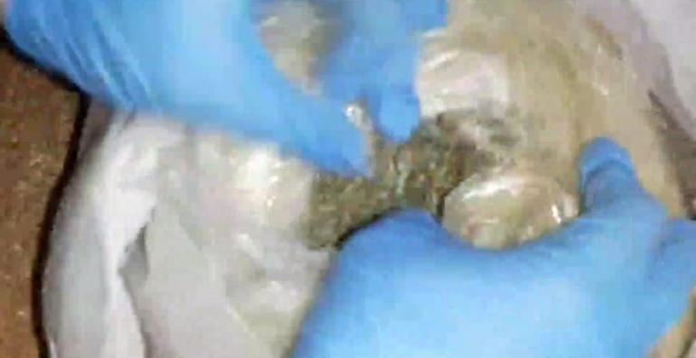 Buğdayların arasından tabanca, tüfek ve uyuşturucu çıktı