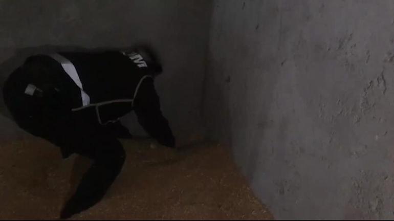 Buğdayların arasından tabanca, tüfek ve uyuşturucu çıktı