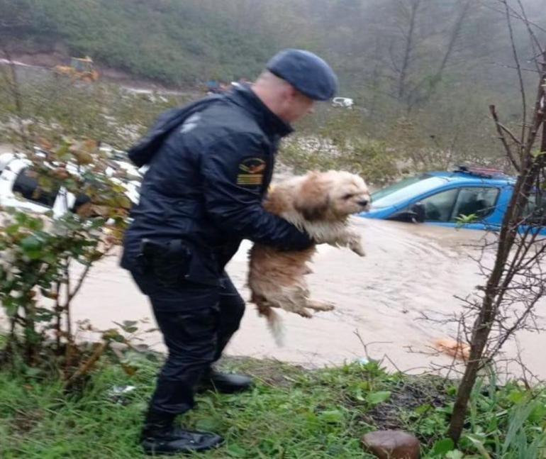 Zonguldakta sağanak ve fırtına; gemi karaya oturdu, cezaevi boşaltılıyor