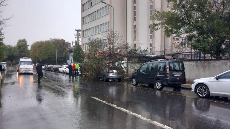 Ağaç, park halindeki otomobilin üzerine devrildi