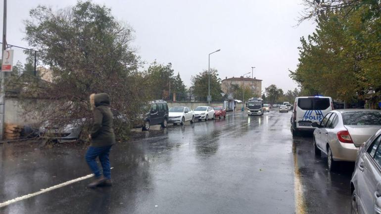 Ağaç, park halindeki otomobilin üzerine devrildi