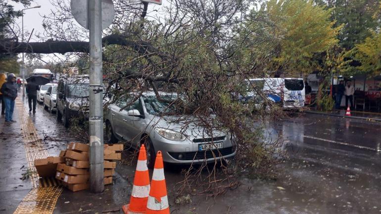 Ağaç, park halindeki otomobilin üzerine devrildi