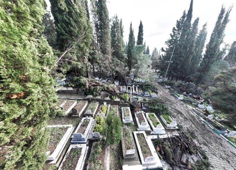 Zonguldaktaki fırtınada devrilen ağaçlar nedeniyle 300 mezar hasar gördü