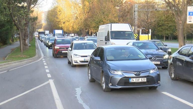 Bakırköy sahil yolunda ağaç yola devrildi