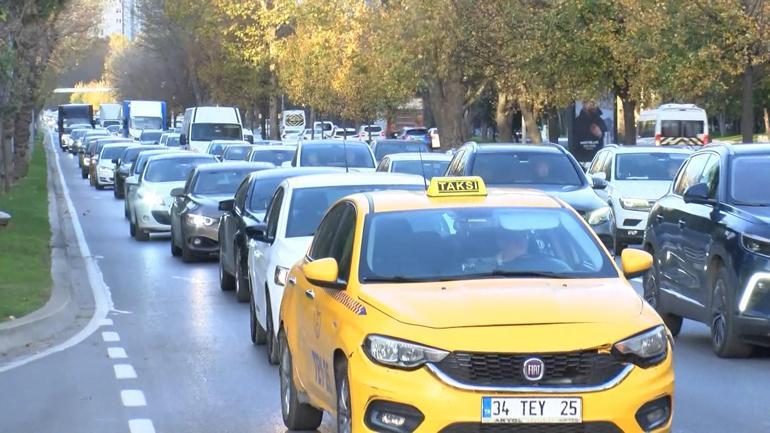 Bakırköy sahil yolunda ağaç yola devrildi