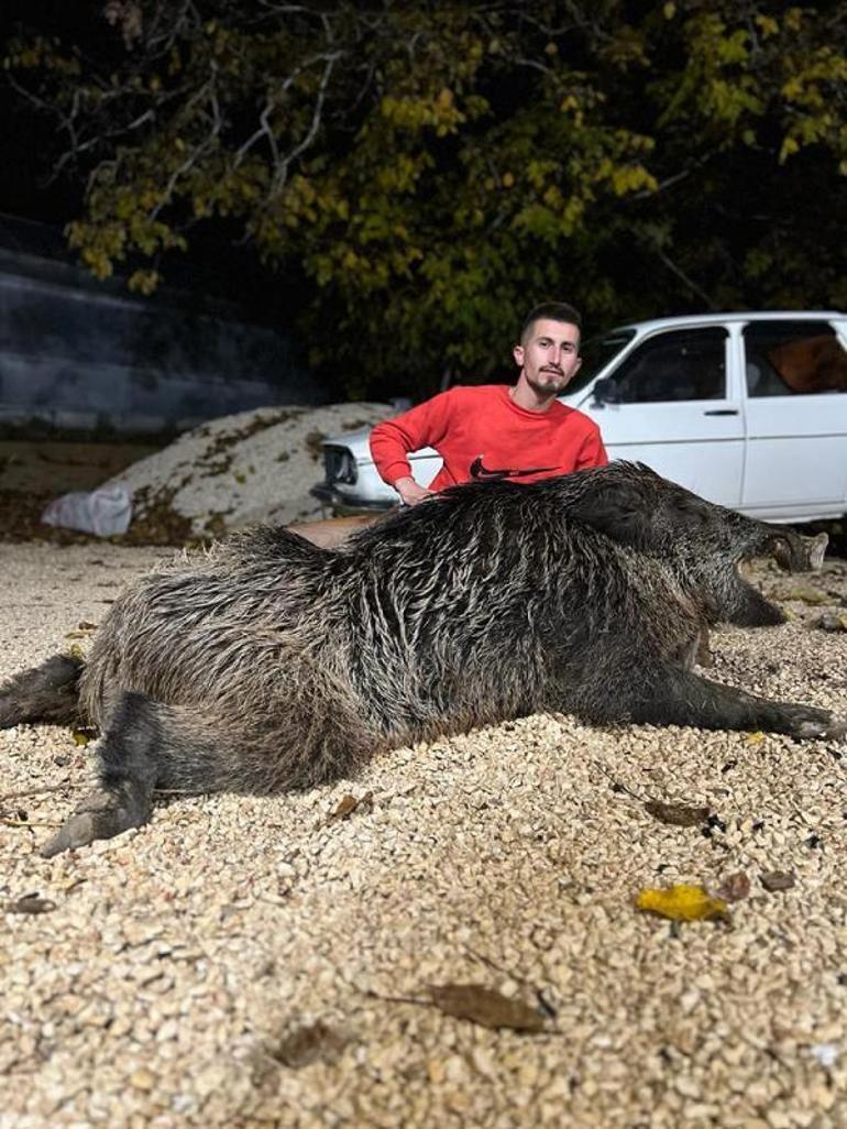 Bahçesine zarar verip, köpeğine saldırdığını söylediği 397 kiloluk domuzu öldürdü