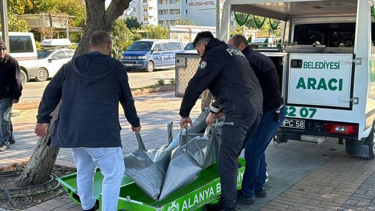 Sahildeki çadırın yanında erkek cesedi bulundu