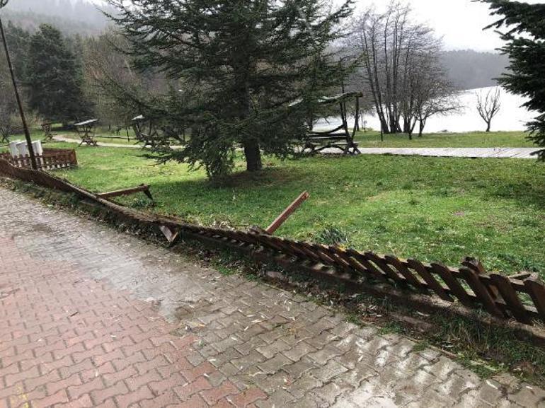 Bolu’da kuvvetli rüzgar; tabiat parkındaki ağaçlar devrildi