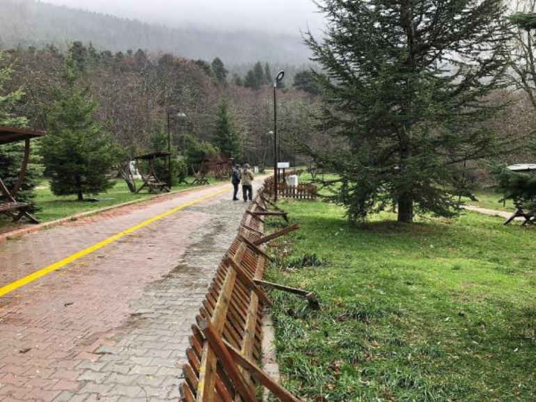 Bolu’da kuvvetli rüzgar; tabiat parkındaki ağaçlar devrildi