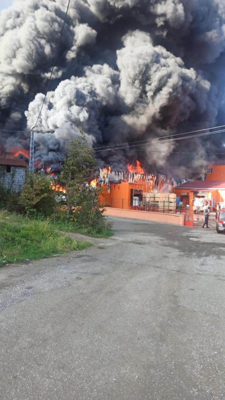 Giresun’da fabrikada yangın