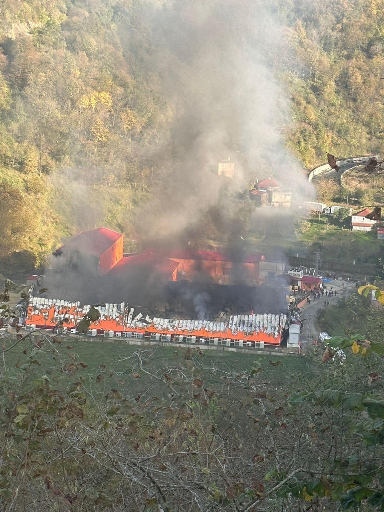 Giresun’da fabrikada yangın
