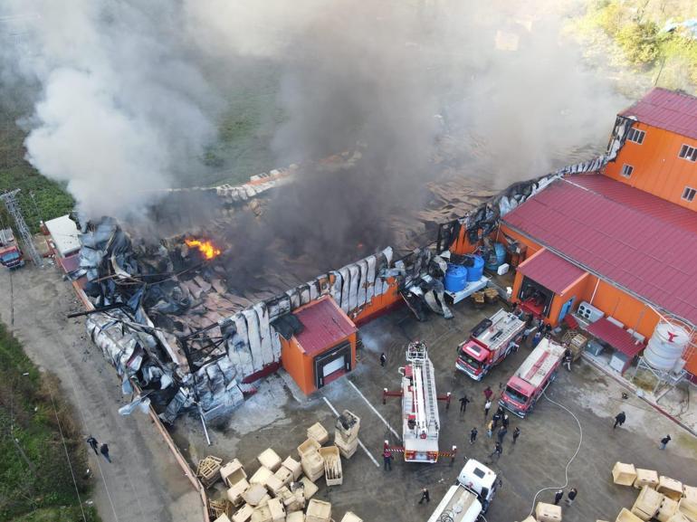 Giresun’da fabrikada yangın