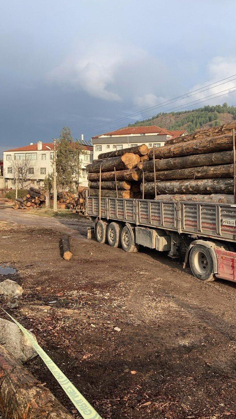 Üzerine tomruk devrilen kamyon sürücüsü öldü