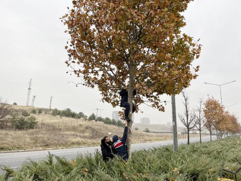 Kavşak projesi iptal edilen yolda ölen Gamzenin çantası, ağaçta bulundu