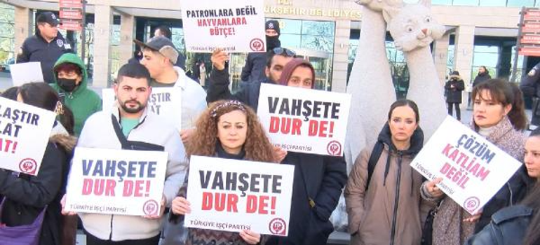 Ankarada sokak köpeklerinin toplanmasına tepki