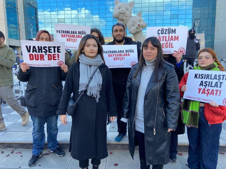 Ankarada sokak köpeklerinin toplanmasına tepki