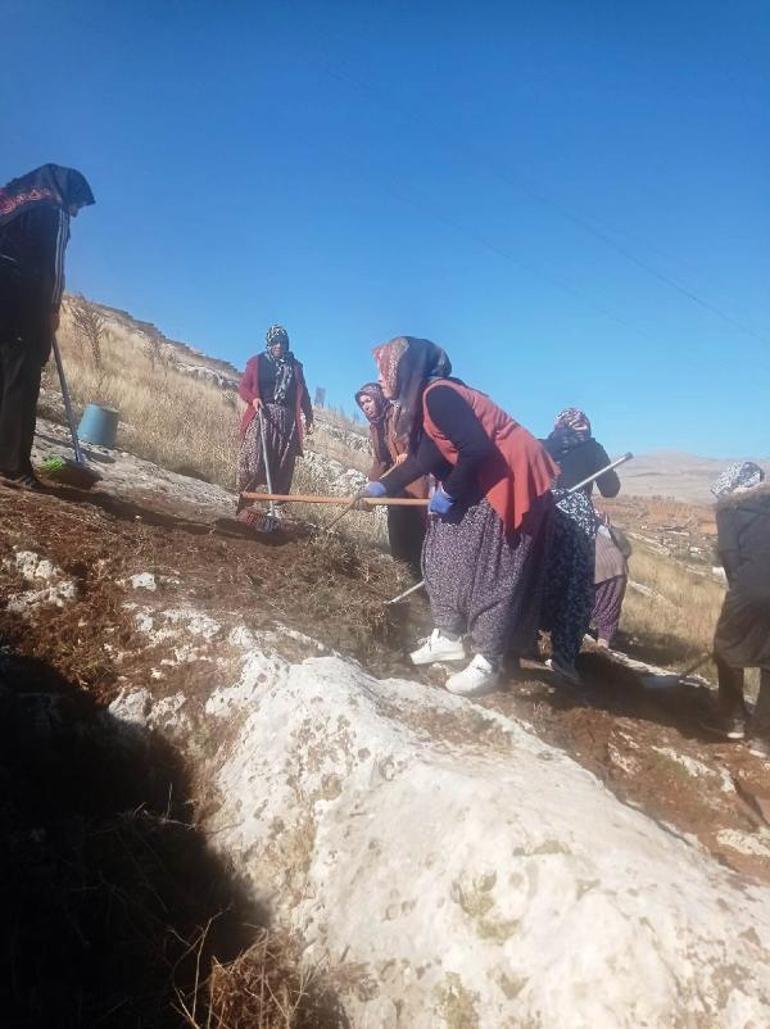 Perre Antik Kentteki kazılarda 15 kadın görev alıyor