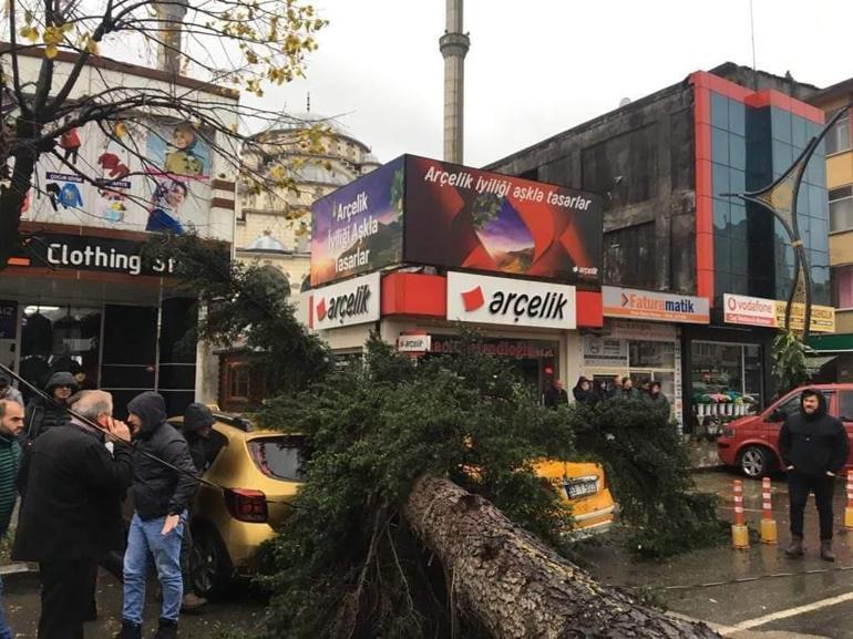 Rizede fırtına; sac uçtu, ağaç taksinin üzerine devrildi