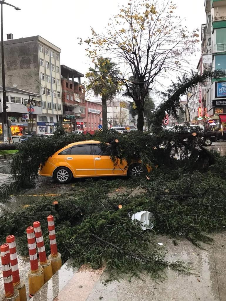 Rizede fırtına; sac uçtu, ağaç taksinin üzerine devrildi