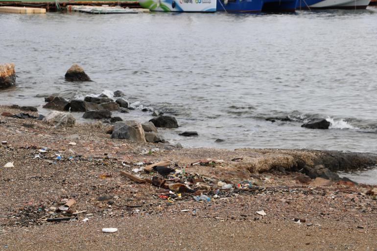 ‘Gediz Nehri başta, derelerden başlanarak atıkların arıtma tesisleriyle bertarafı gerekiyor’