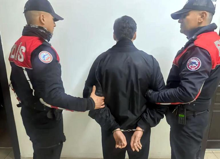 Kedilere eziyet eden ve örgüt propagandası yapan C31K topluluğu üyesi 5 kişi tutuklandı