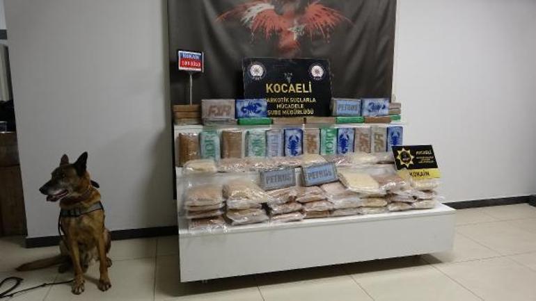 109 kilo kokainin ele geçirildiği operasyonda TIR şoförü tutuklandı