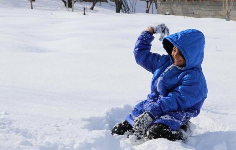 Vanda kar nedeniyle kapanan yollar açılıyor