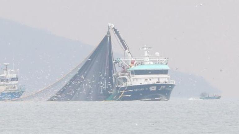 İstanbul Boğazında tekneler kıyıya yaklaştı, 24 metre tartışması çıktı