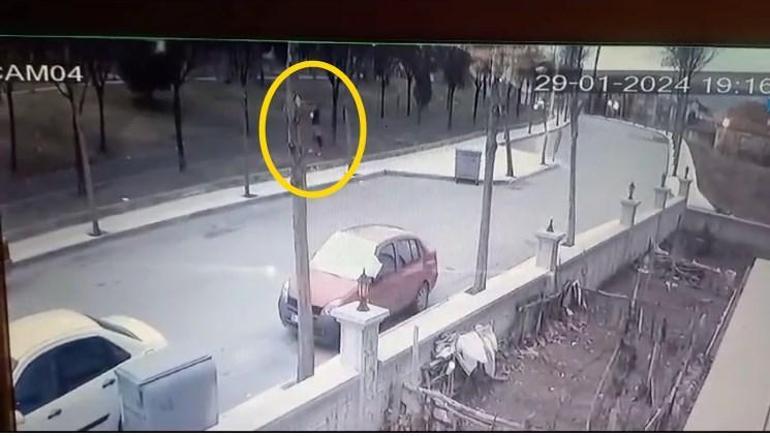 Köpeğini gezdirirken, tasmasız Rottweiler’ın saldırısına uğradı