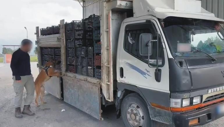 Elma yüklü kamyondan çıkan 40 milyon liralık 41 kilo uyuşturucuya 3 tutuklama