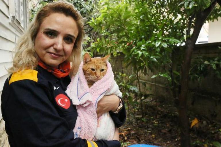 Antalyayı sel vurdu; mahsur kalan kedi böyle kurtarıldı
