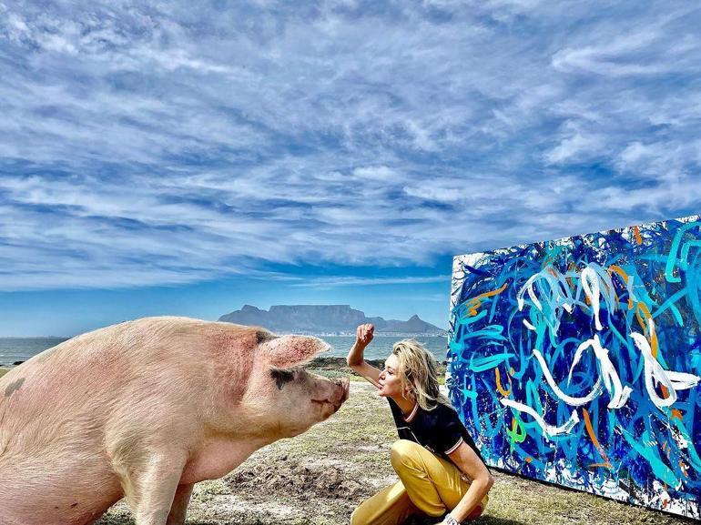 Ressam domuz ‘Pigcasso’ hayatını kaybetti